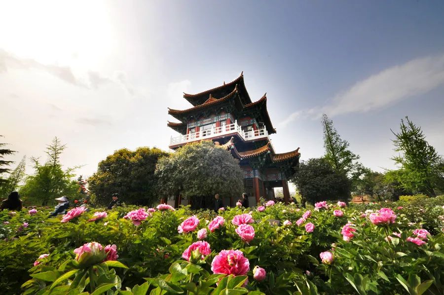 zblog八套实用seo模版免费分享